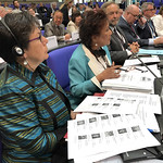 Membre de SECO Hedy Fry présentant des amendements à des résolutions des trois Commissions permanentes de l'Association parlementaire de l'OSCE