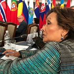 Hedy Fry of SECO participating in the debate during the first session entitled "Countering new challenges and threats in border areas through confidence-building and regional co-operation"